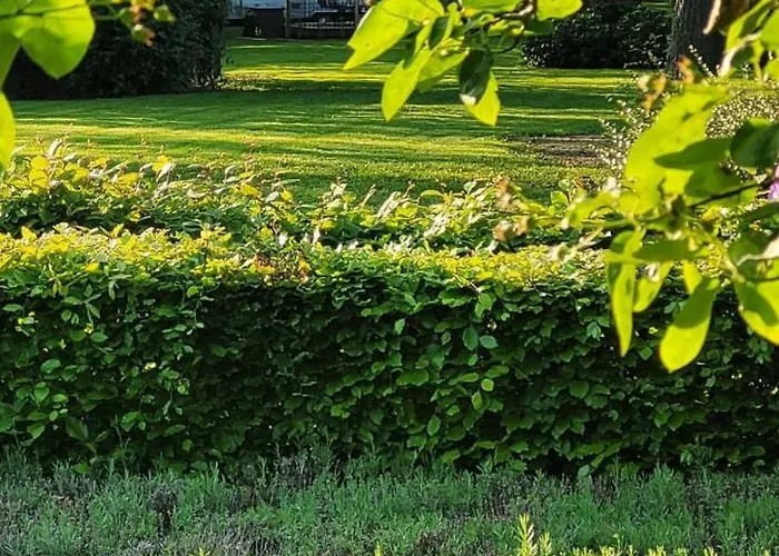 Aldeamento Turístico Amerikaanse Airstream Caravan Met Hottub *